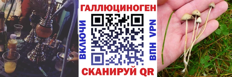 купить наркотики цена  Бабаево  hydra зеркало  Псилоцибиновые грибы Psilocybine cubensis 